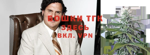 ГАЛЛЮЦИНОГЕННЫЕ ГРИБЫ Абаза