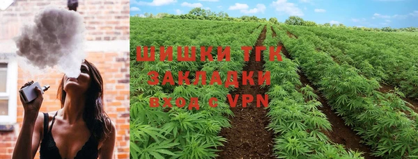 ГАЛЛЮЦИНОГЕННЫЕ ГРИБЫ Абаза