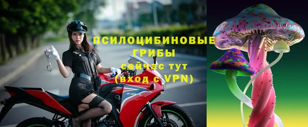 ГАЛЛЮЦИНОГЕННЫЕ ГРИБЫ Абаза