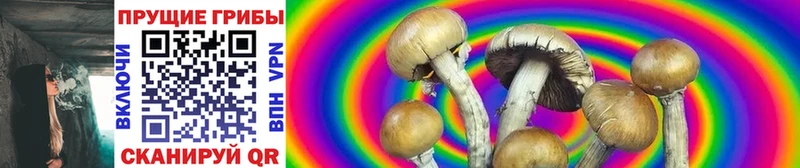 KRAKEN как зайти Чегем Галлюциногенные грибы Psilocybe цена наркотик